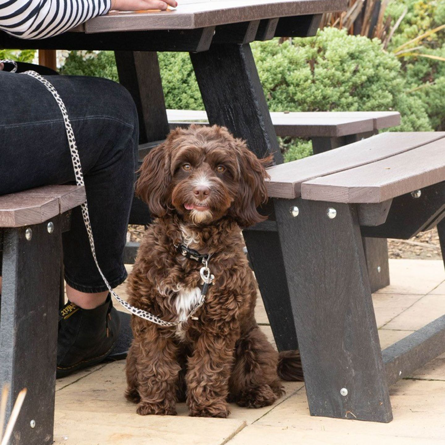 Your local dog friendly pub in Keswick